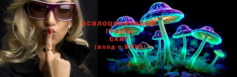 Галлюциногенные грибы Magic Shrooms  Кяхта 